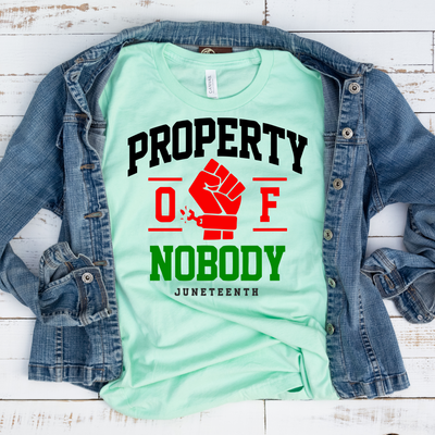 Property of Nobody/ Transfer